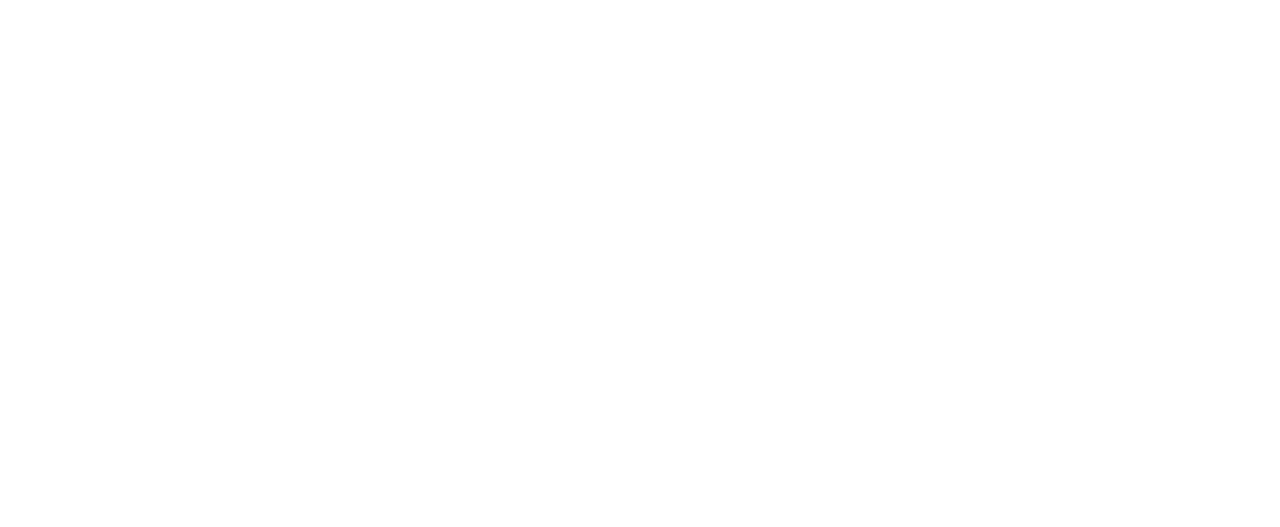 The Witcher IV