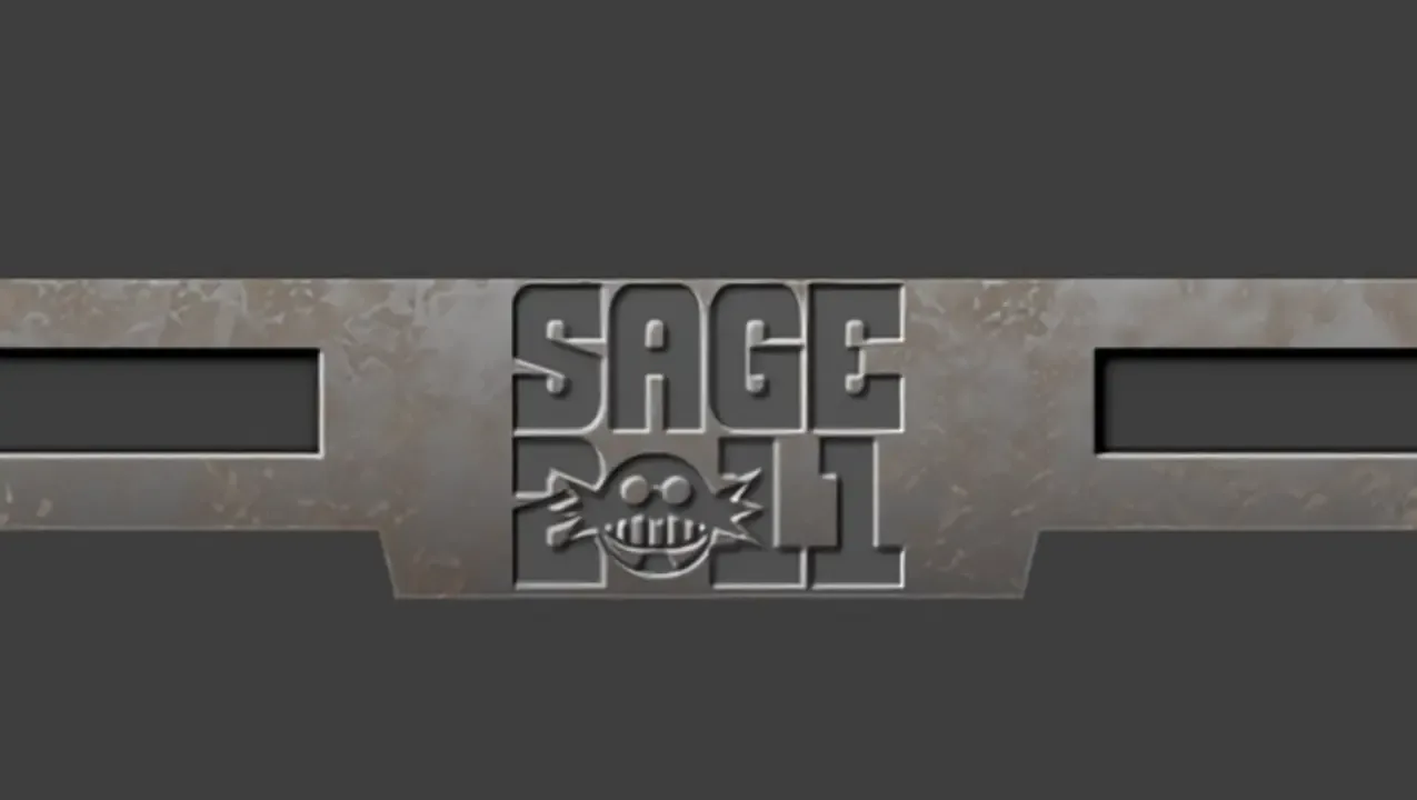 SAGE 2011