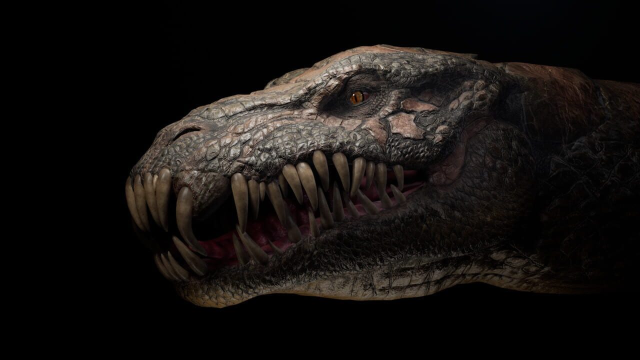 Nền tảng hỗ trợ The Bornless