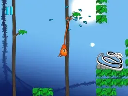 Rin the Tamarin