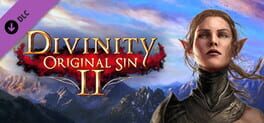 Divinity: Original Sin 2 - Divine Ascension