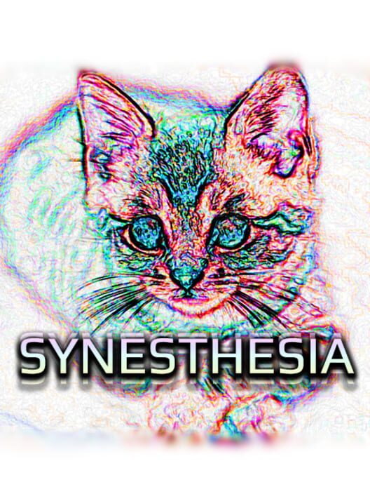 Synesthesia cover image Synesthesia cover image