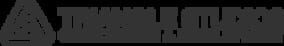 Logo of Triangle Studios
