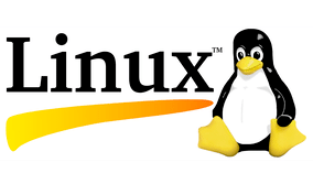 Logo for Initial version