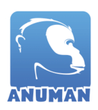 Logo of Anuman Interactive