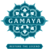 Logo of Gamaya Inc
