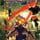 Cover image for the game Strider