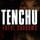 Cover image for the game Tenchu: Fatal Shadows