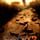 Cover image for the game Far Cry 2