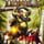 Cover image for the game Trine 2