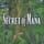 Cover image for the game Secret of Mana