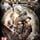 Cover image for the game NieR