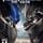 Cover image for the game Transformers: The Game