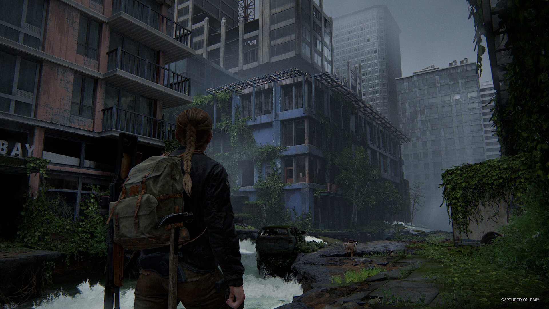 The Last of Us Part II Remastered The Last of Us Part II Remastered