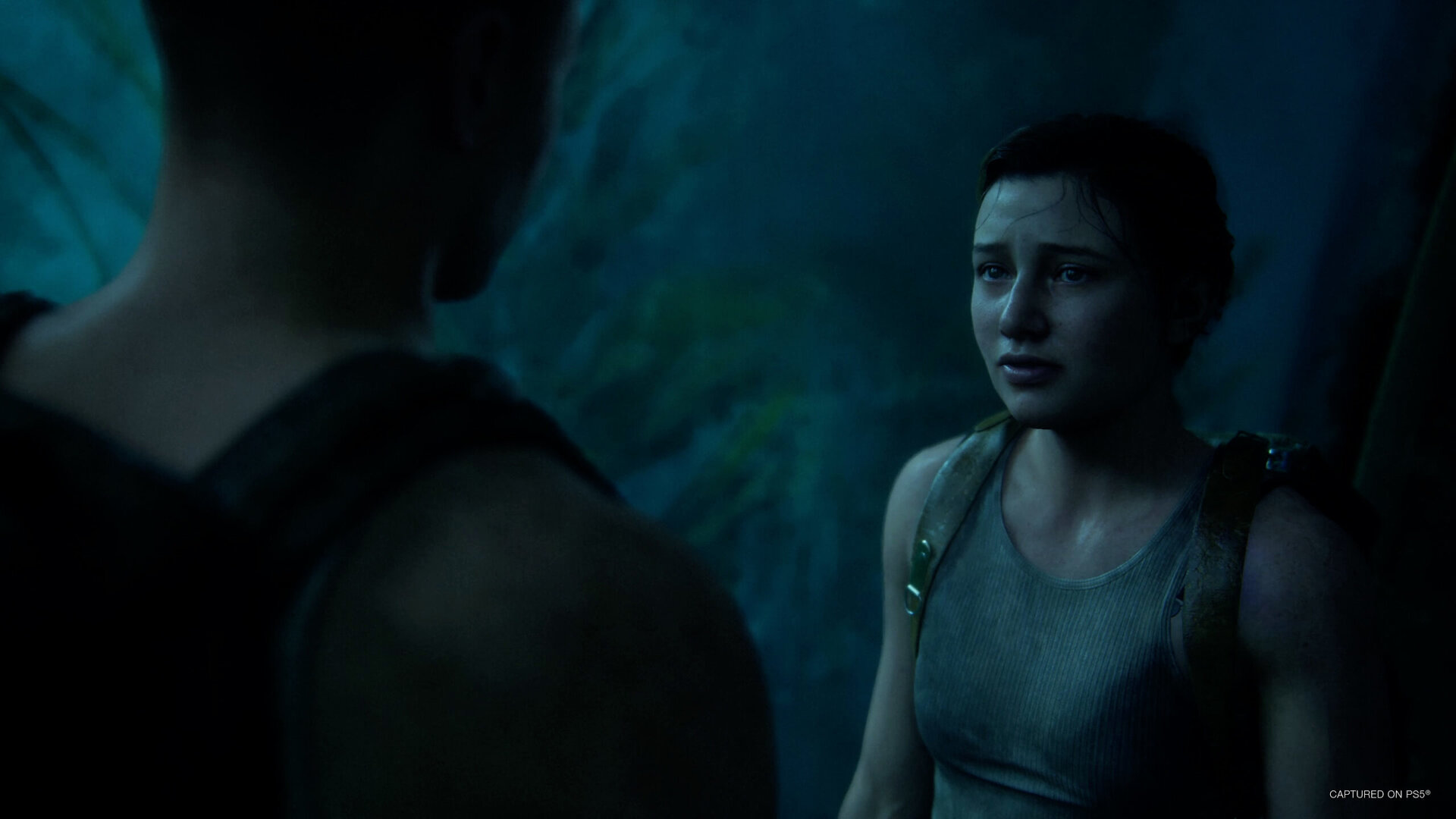 The Last of Us Part II Remastered The Last of Us Part II Remastered