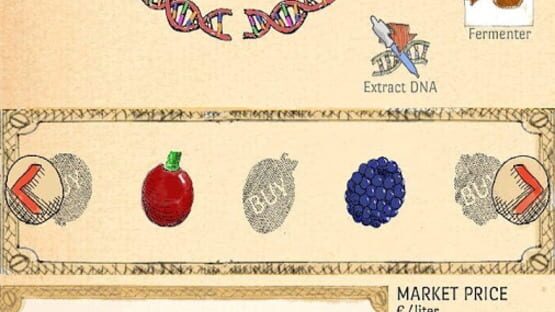 BerryMaker - DNA soda factory