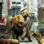 Tokyo Jungle