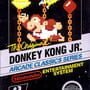 Donkey Kong Jr.