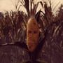 Maize Screenshot 2