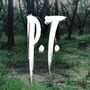 P.T.