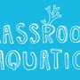 Classroom Aquatic