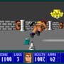 Wolfenstein 3D Screenshot 2