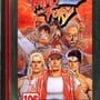 Fatal Fury 2