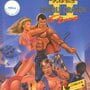 Double Dragon 2: The Revenge