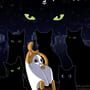 The Purring Quest