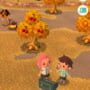 Animal Crossing: Pocket Camp Screenshot 6