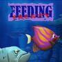Feeding Frenzy