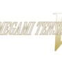 Shin Megami Tensei V