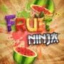Fruit Ninja