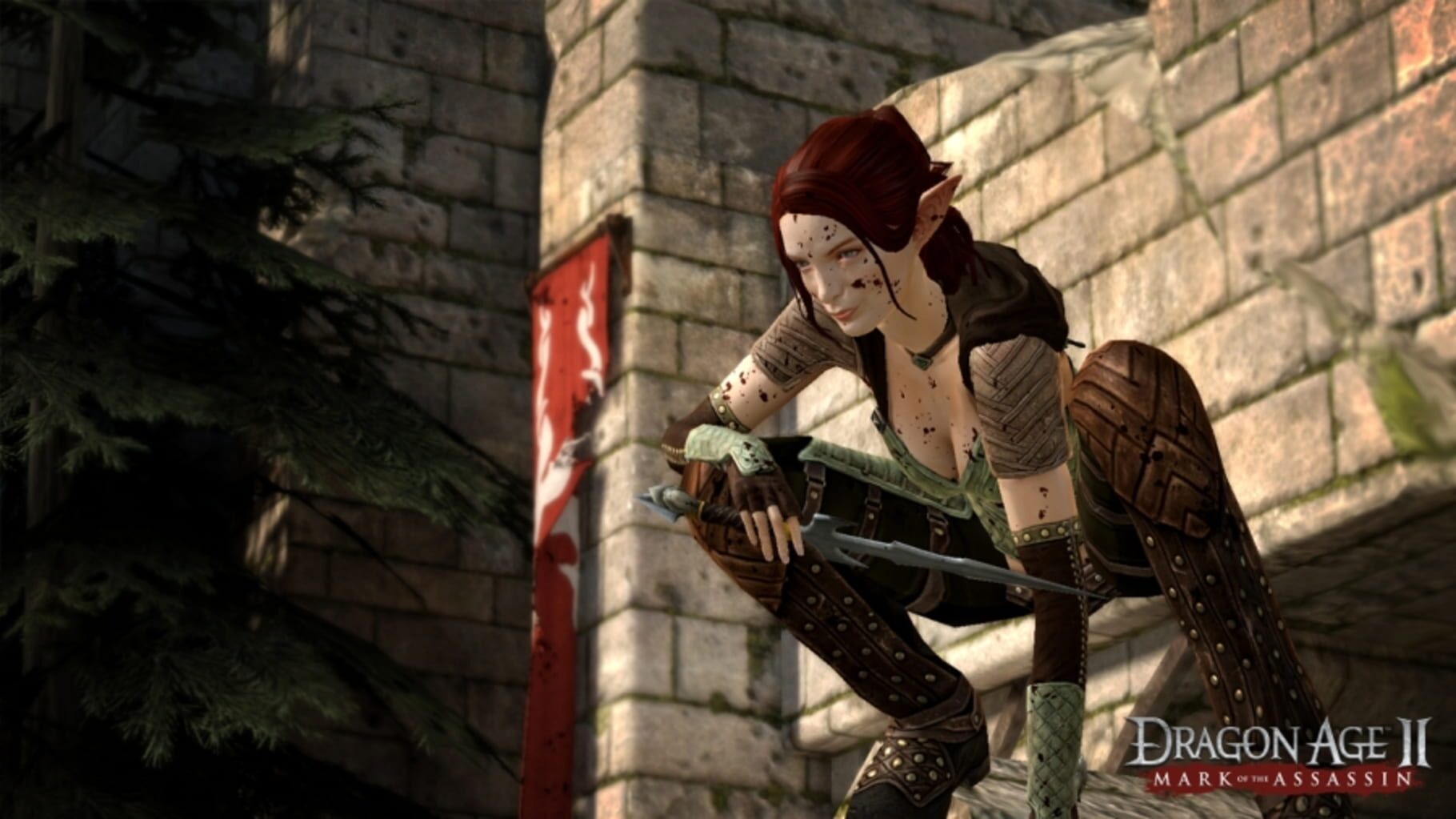 Captura de pantalla - Dragon Age II: Mark of the Assassin