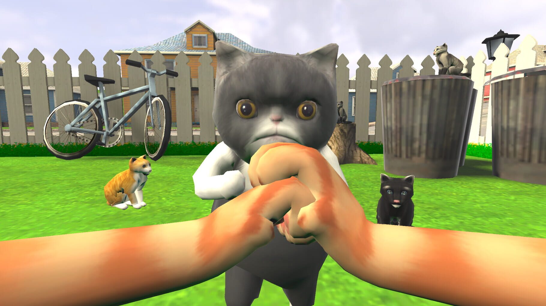 Картинки cat simulator animal life