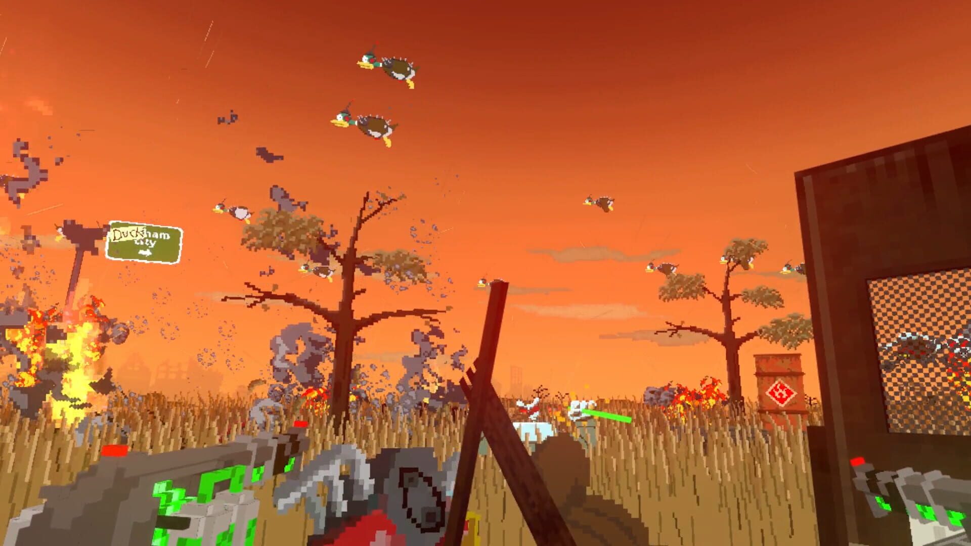 Duckpocalypse - Screenshot