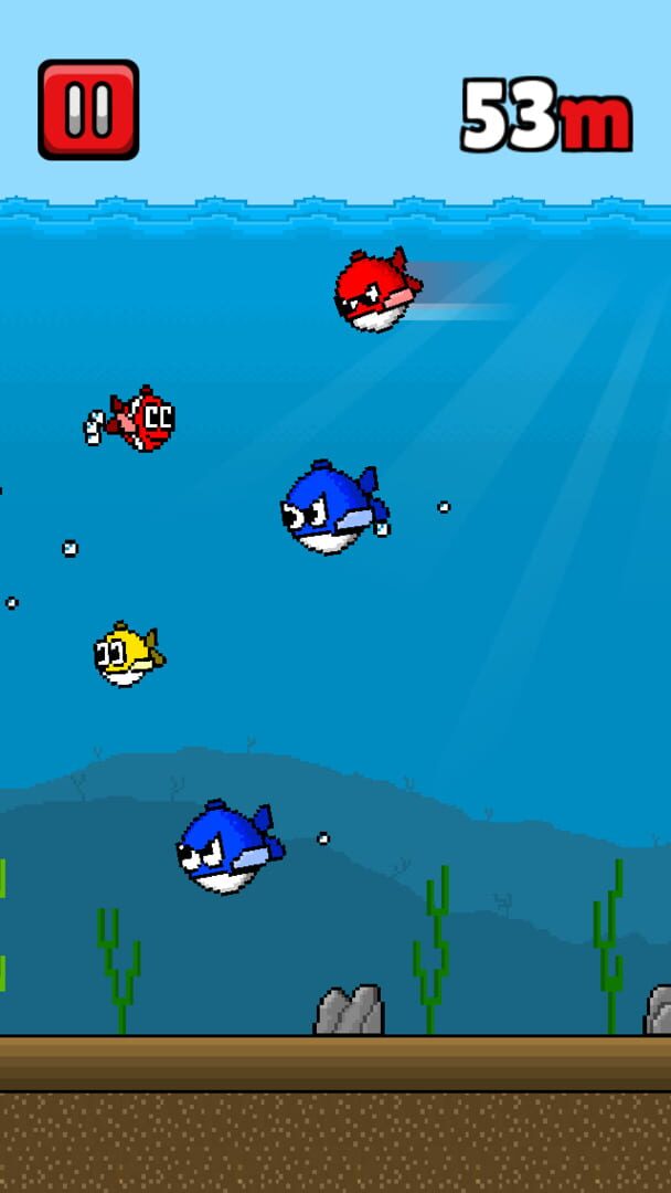 Jeu : Mini Fish