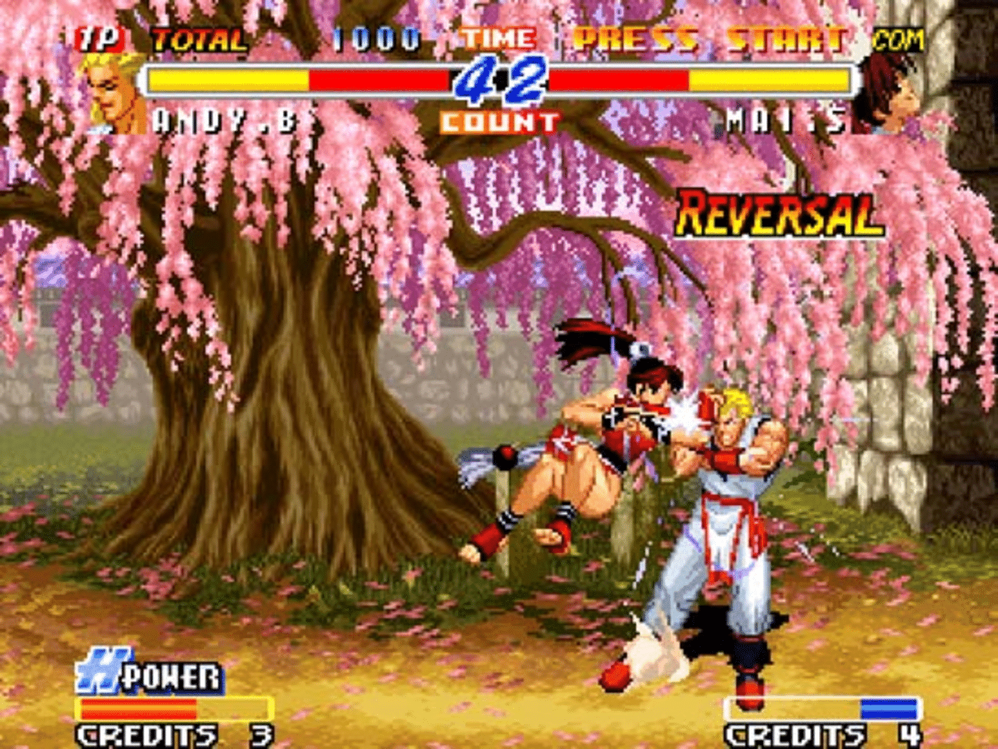 Play Arcade Real Bout Fatal Fury Special / Real Bout Garou