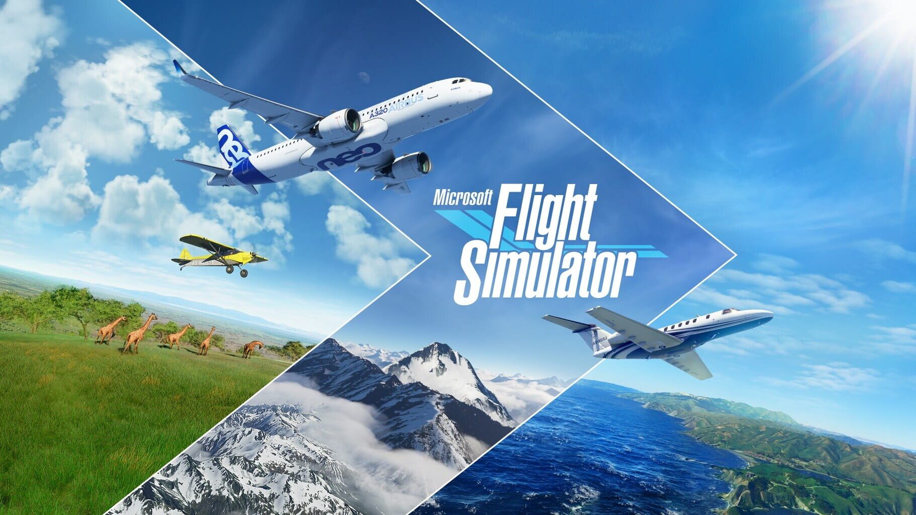 Arte - Microsoft Flight Simulator: Deluxe Edition