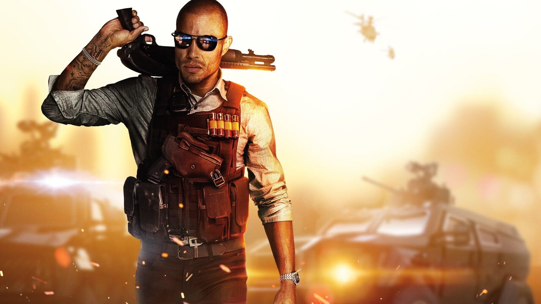 Arte - Battlefield Hardline: Deluxe Edition