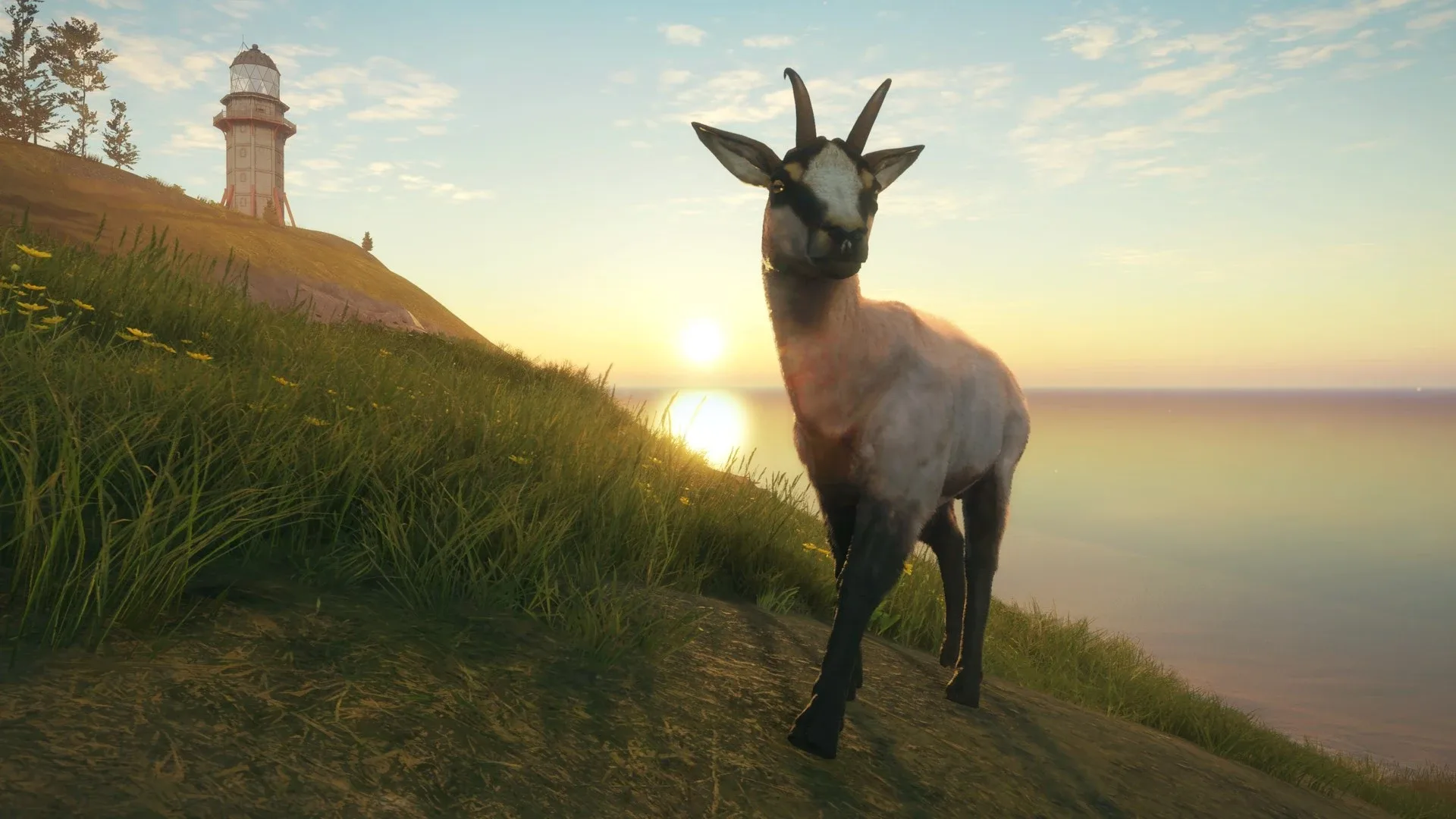 TheHunter: Call of the Wild - Te Awaroa National Park