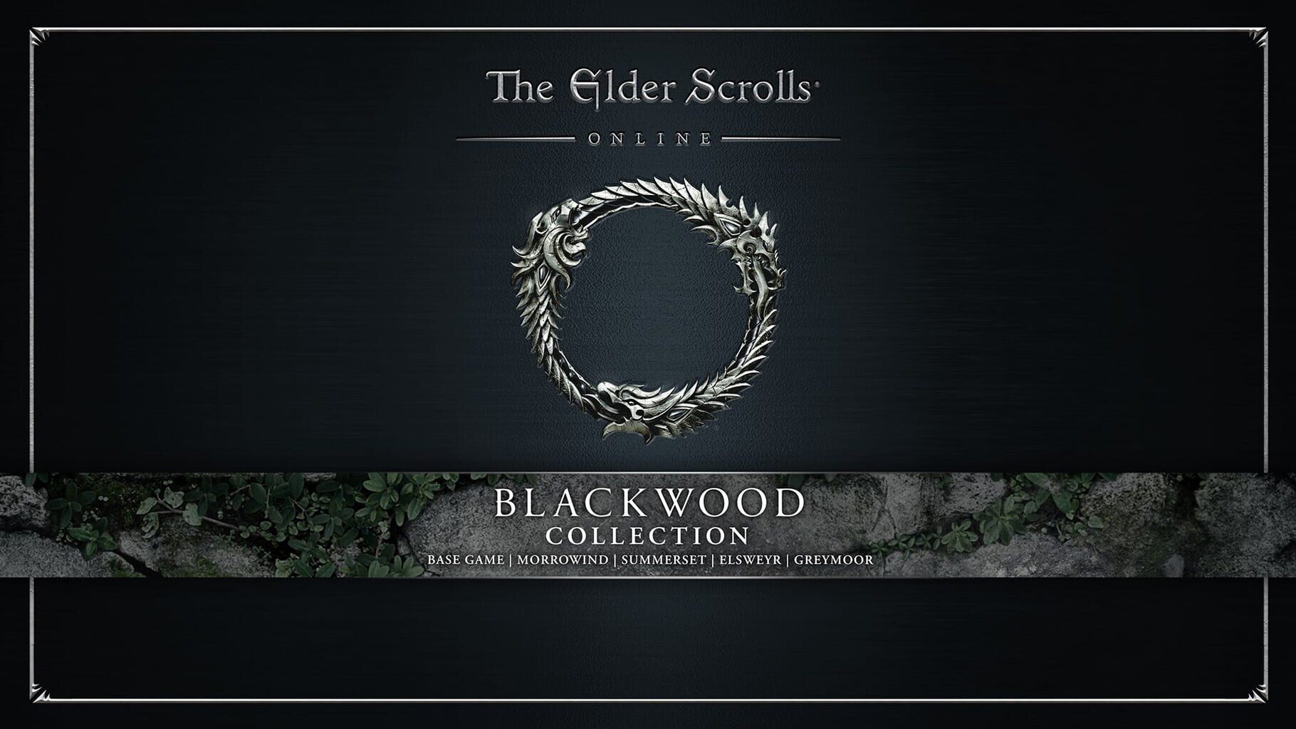 Arte - The Elder Scrolls Online: Blackwood Collection