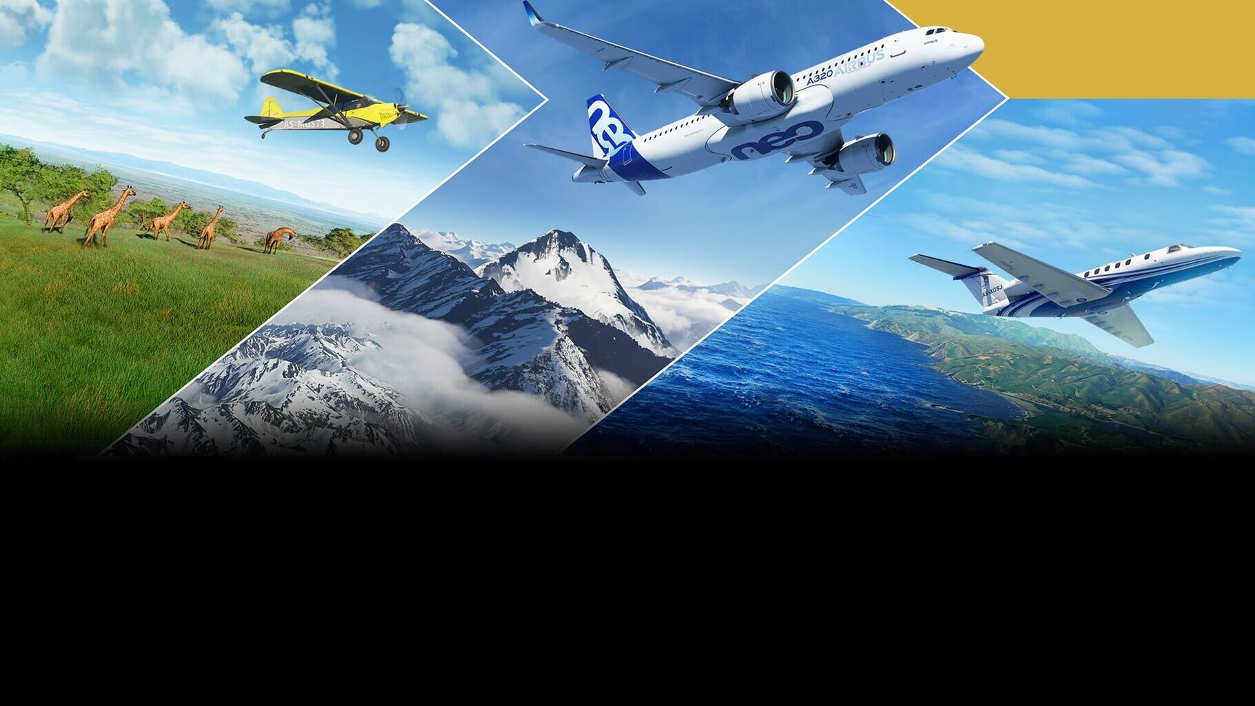 Arte - Microsoft Flight Simulator: Premium Deluxe Edition