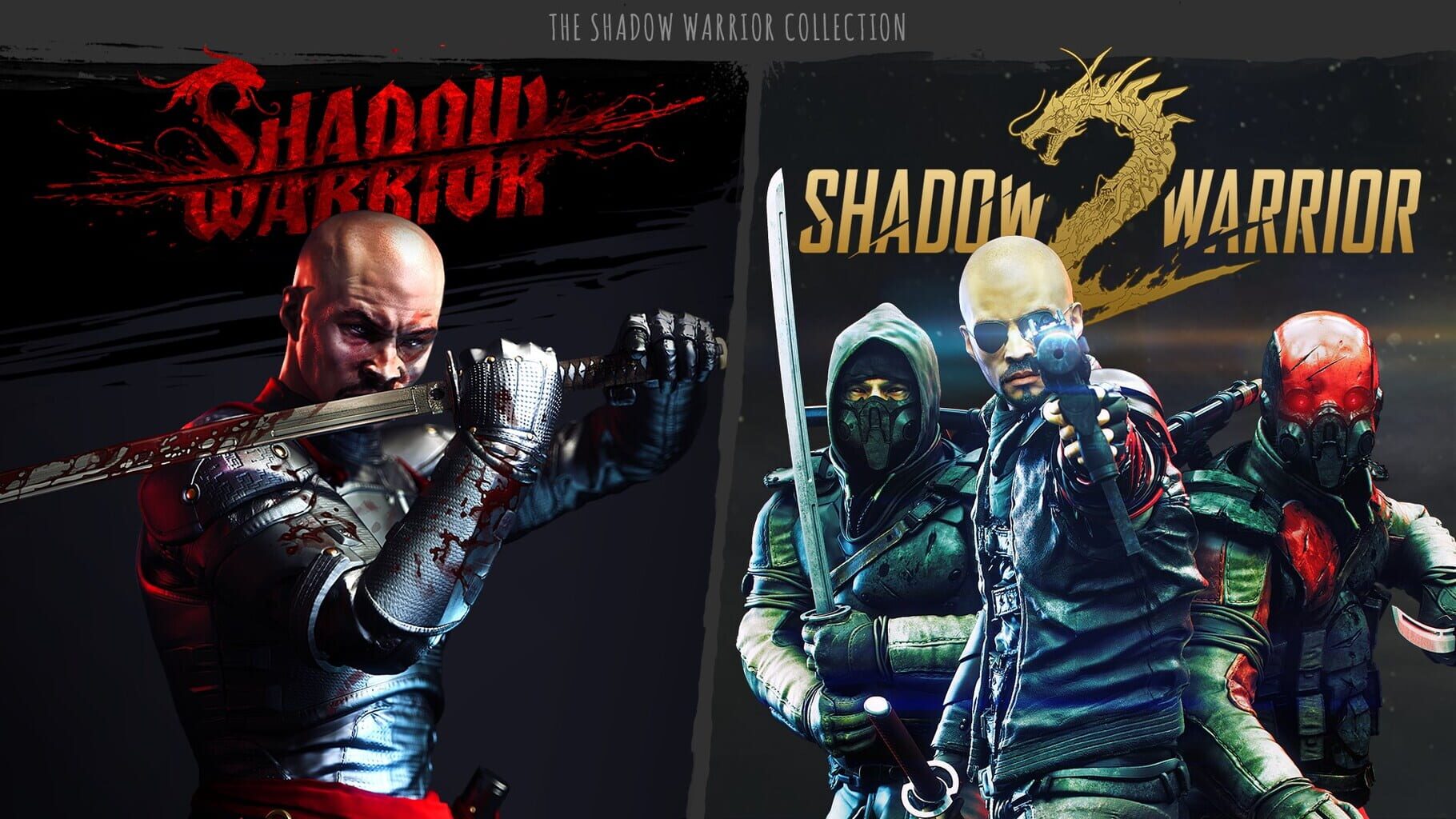 Arte - Shadow Warrior Collection