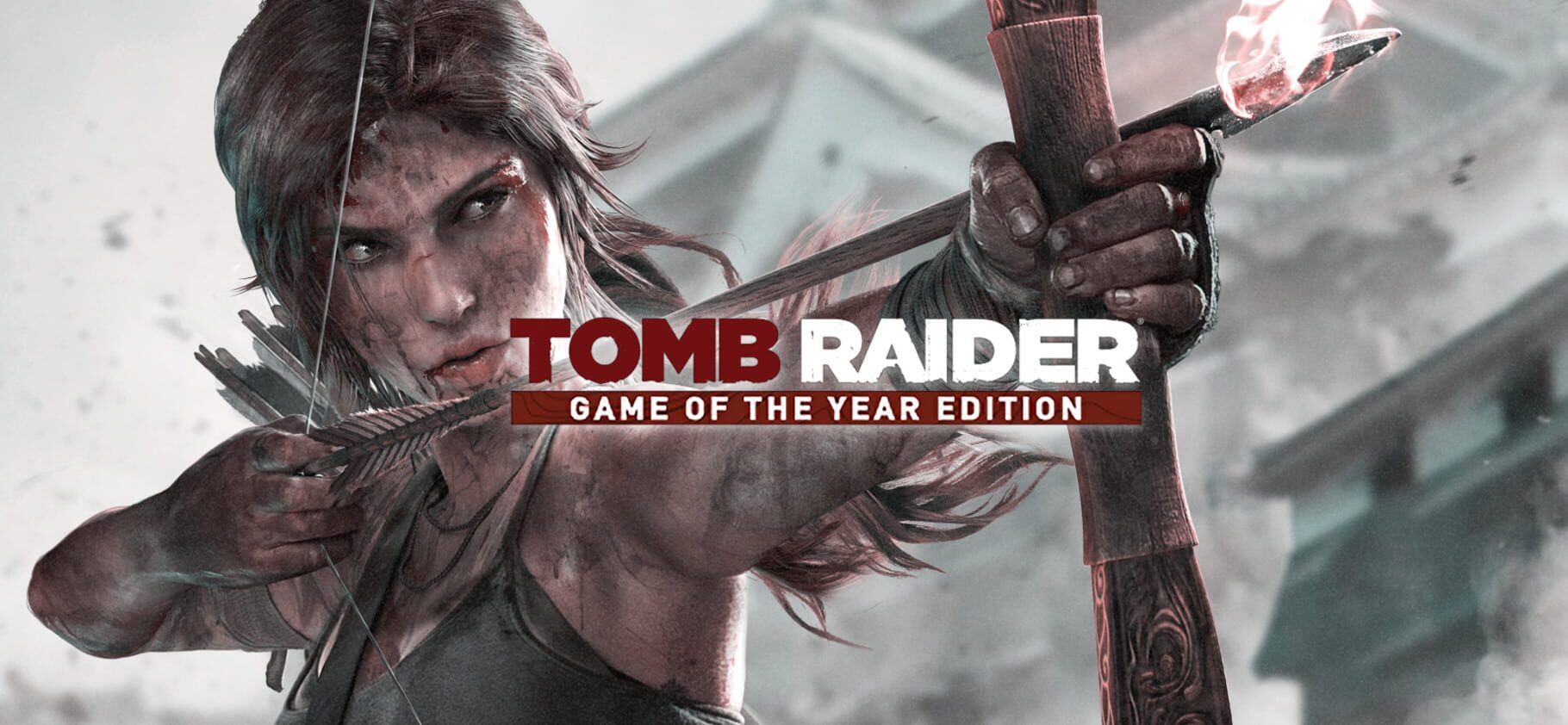 Arte - Tomb Raider: Game of the Year Edition