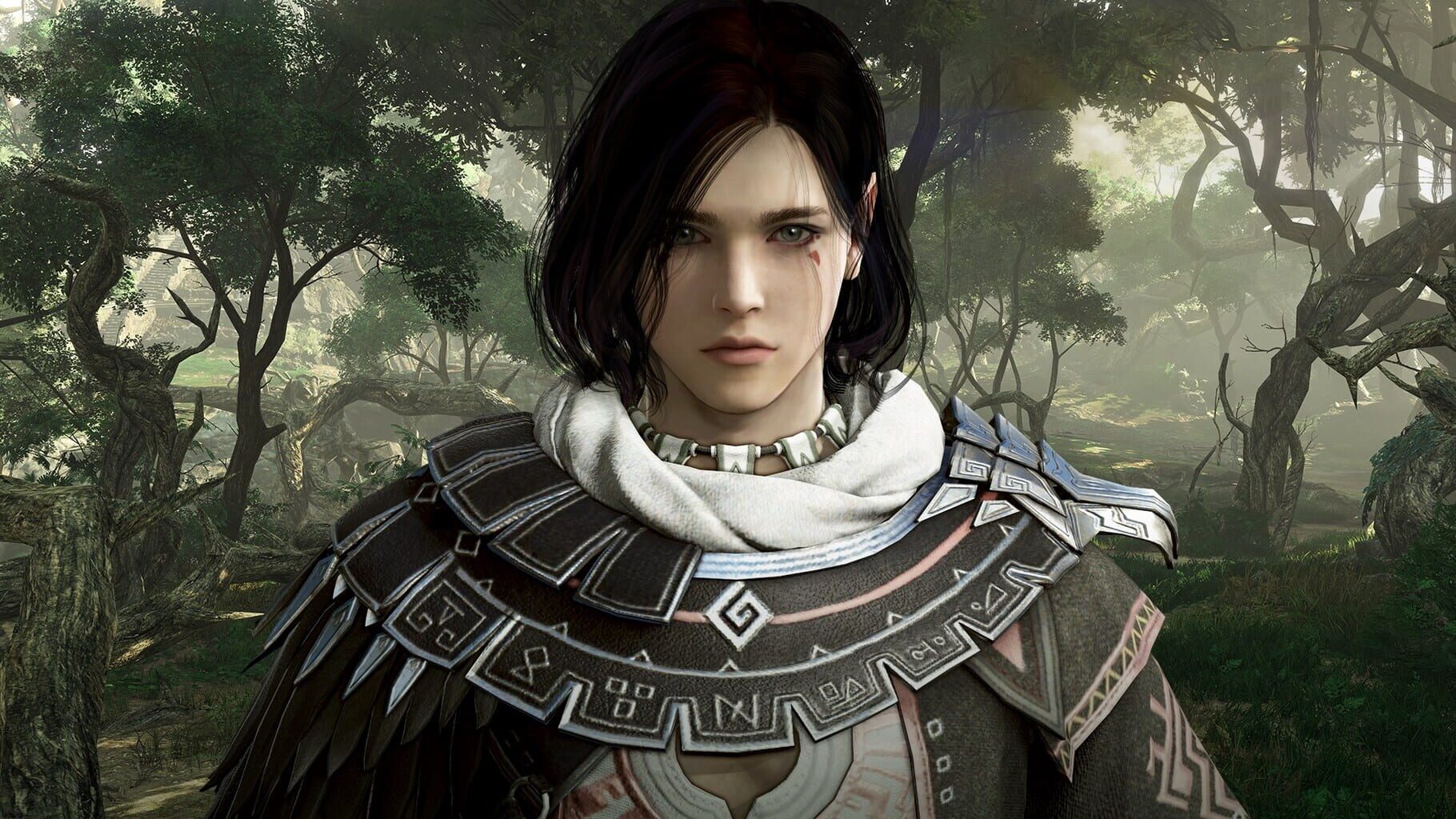 Artwork for Black Desert: Explorer Edition