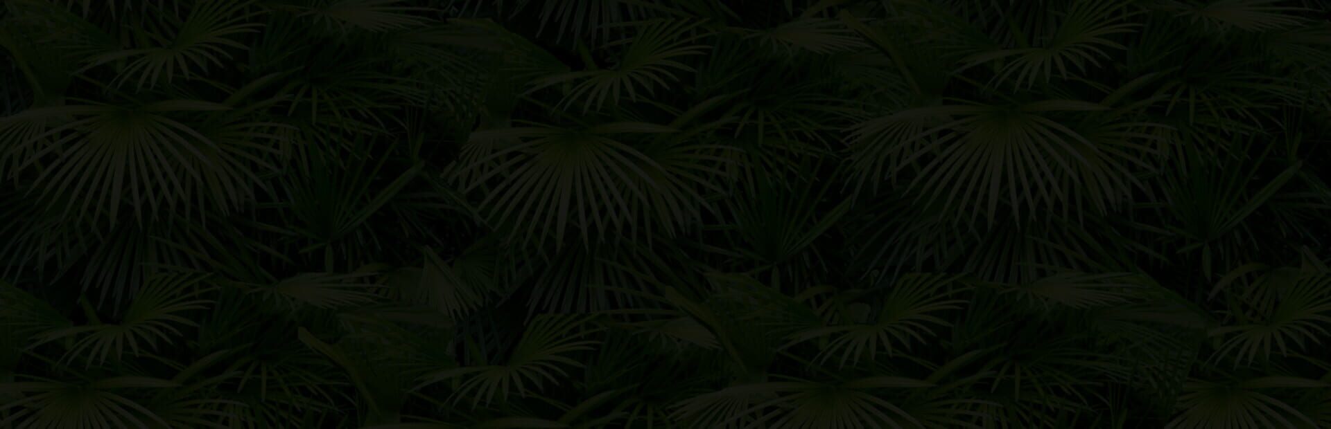 artwork 1