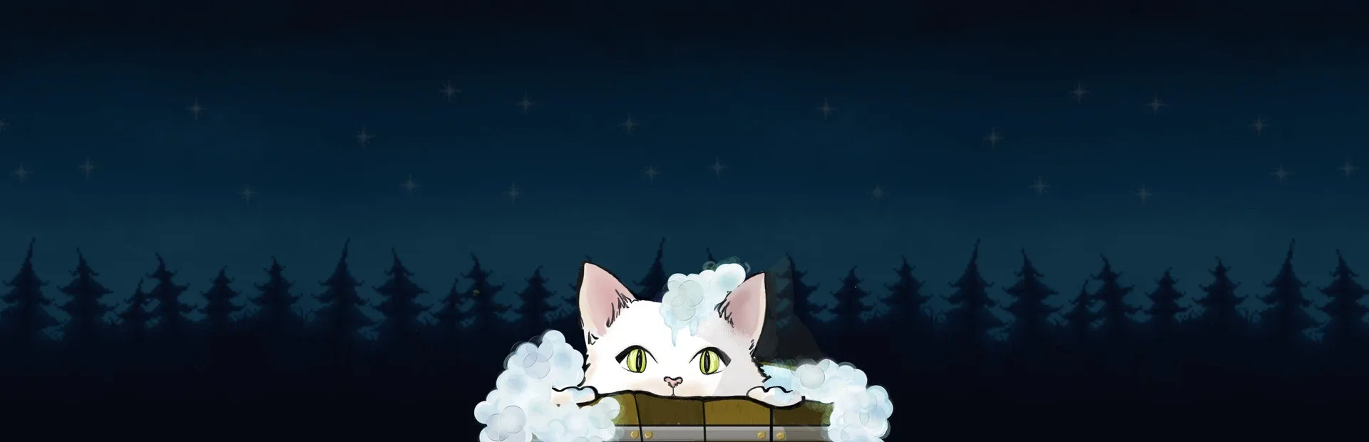 How to Bathe Your Cat