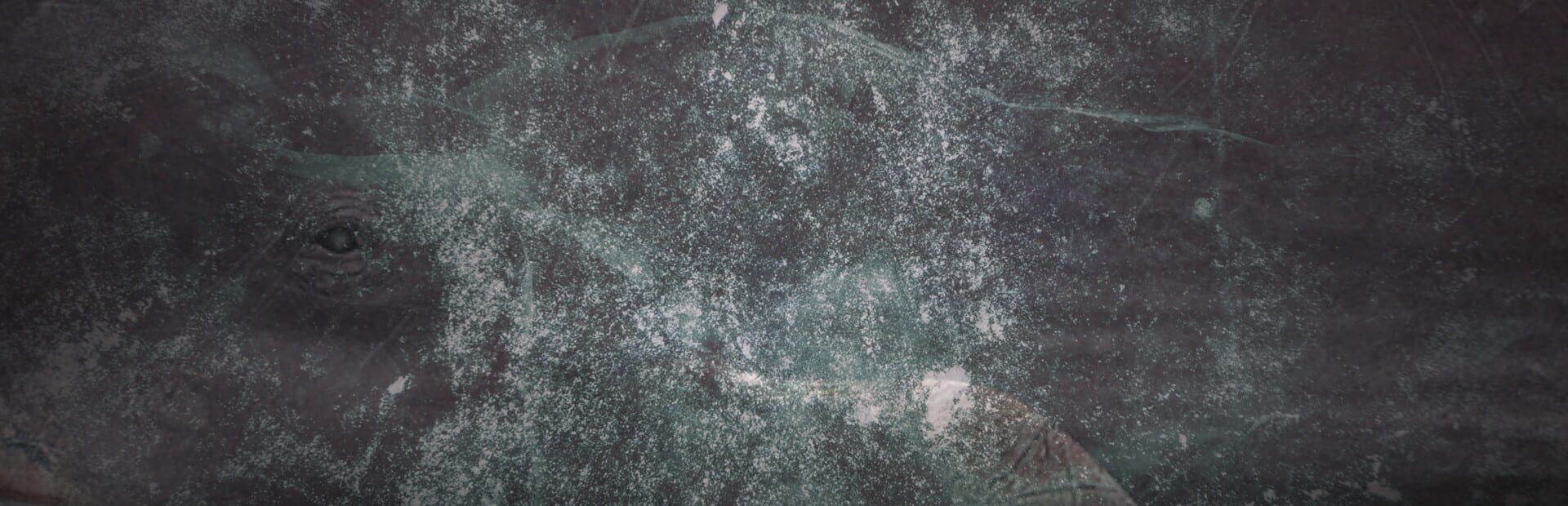 artwork 1