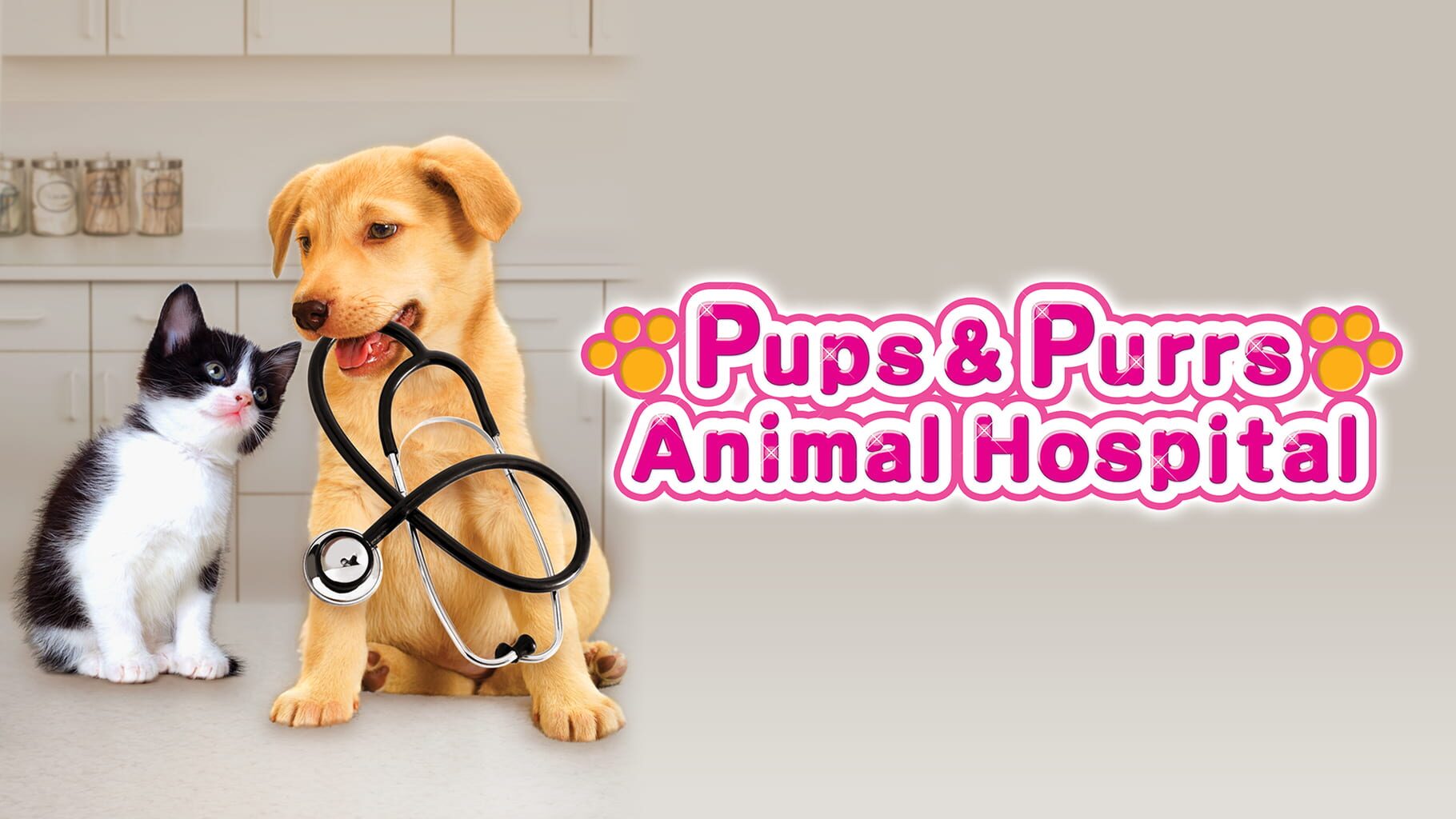 Pups & Purrs Animal Hospital artwork